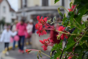 neuilly-plaisance-marche-rose-octobre-2021 10